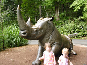 zooandbeach047.jpg